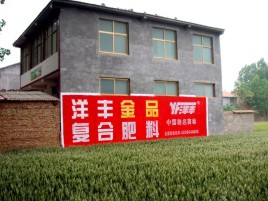 怀化如何让墙体广告展现最大化效果